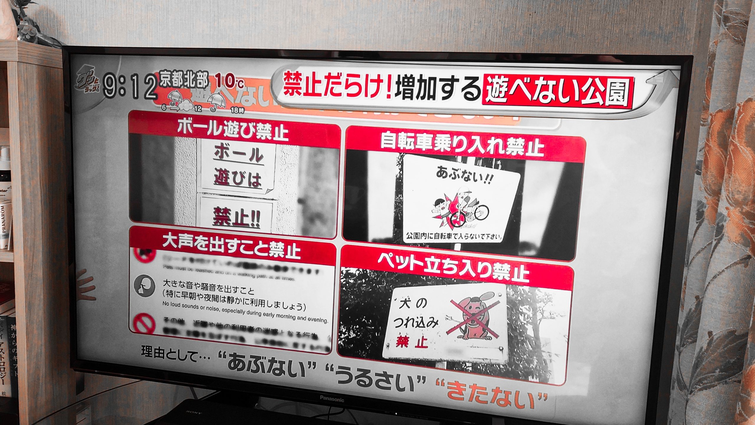 遊べない公園 起立性調節障害に代表される子どもの生命力低下の遠因 掌ひとつの革命